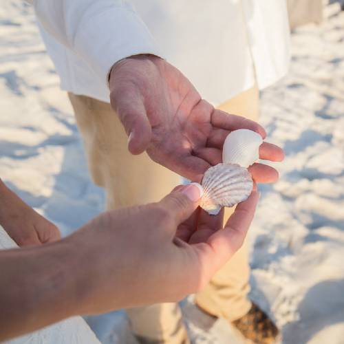 bride and groom holding shells on the beach